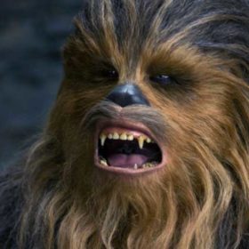 The Chewster